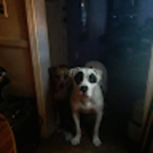 Meet your Posher, Jefff